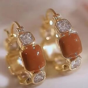 Gold and Brown Hoop Earrings